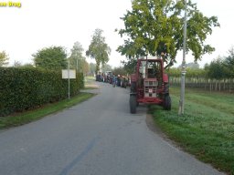 ws 113
